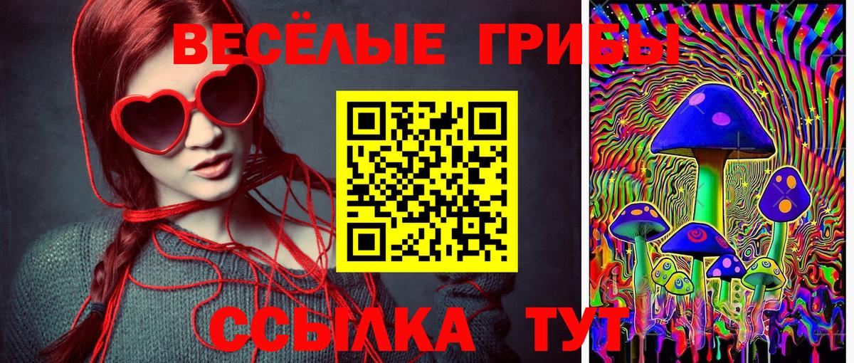 Кировск  Псилоцибиновые грибы мухоморы  Вход с VPN 